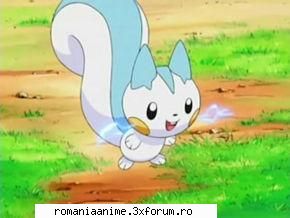 pokemoni pachirisu (ce dragalas e...)