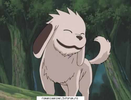 este foarte dragut ^_^ akamaru