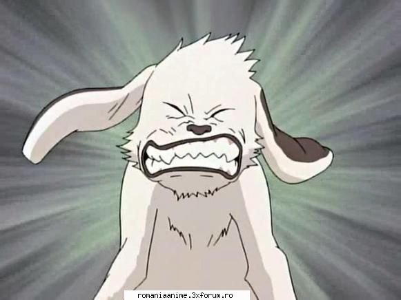 :nebun:  :rotfl: akamaru
