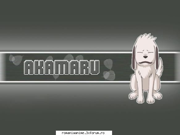 este  cel mai dulce catelus akamaru