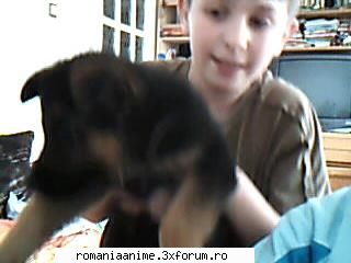 eu cu catelul animalutze