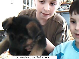 tot eu animalutze