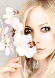 nr 6 avril lavigne