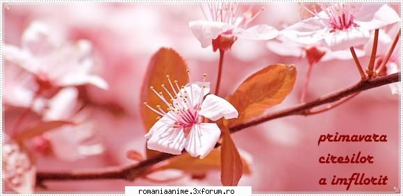 semnatura concurs gfx