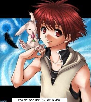 alta daisuke niwa