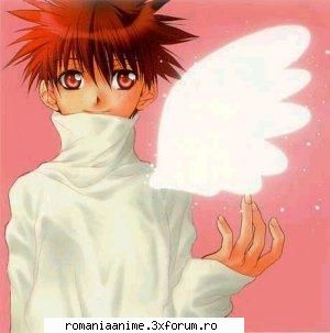 alta daisuke niwa