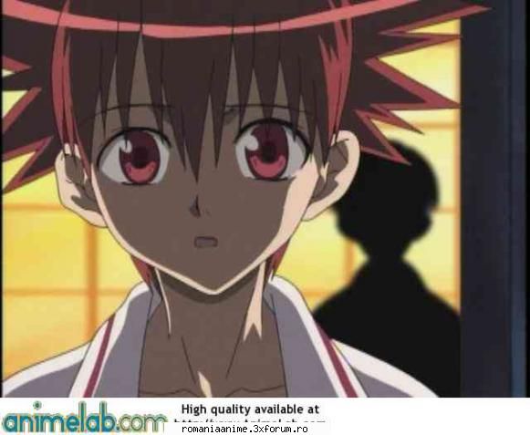 alta daisuke niwa