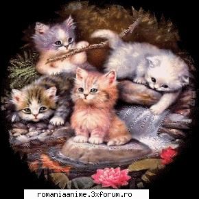 nu stiu cum sa-mi fac, dar unchiulmeu stie!imi fac in curand si webblog si forum!si va voi invita in