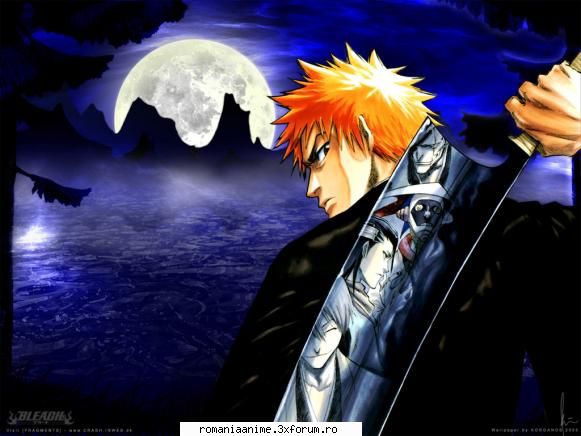 de fiecare are pareri proprii ichigo kurosaki