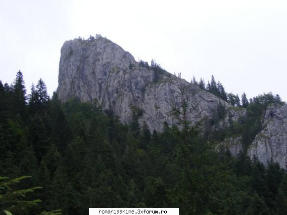 Jurnalul neinteles - Eh incep: Draga Jurnal, azi miam da seama de ce - ♦ Jurnale ♦