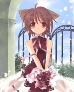 Most Anime Beautiful Girls - Kimiko - ♦ Albume de fotografii ♦
