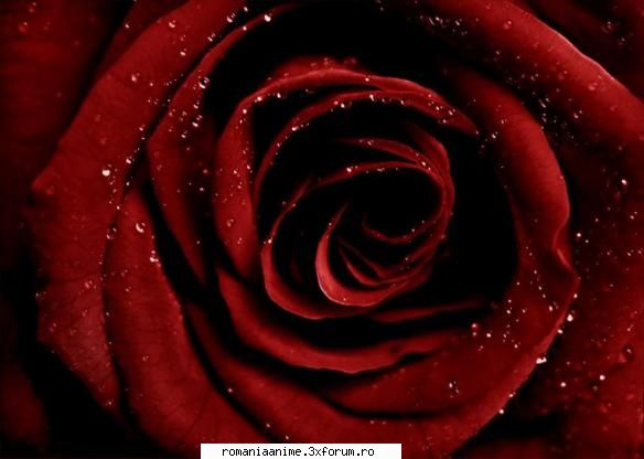 Nota pentru poza - Crystal_m_rose - � Jocuri pe forum �