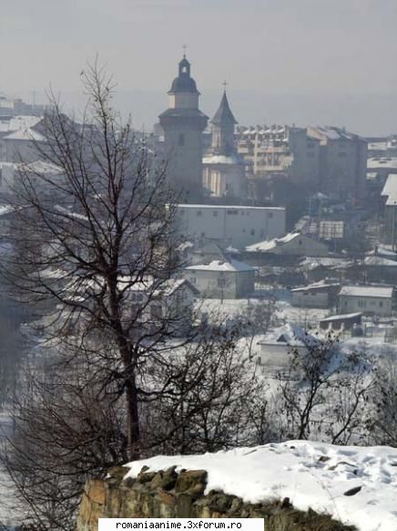 Orasul vostru - Suceava este reşedinţa şi - ♦ Cafenea ♦