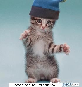 Poze haioase cu animale - No name!<3 - � Pets- animalutele noastre �