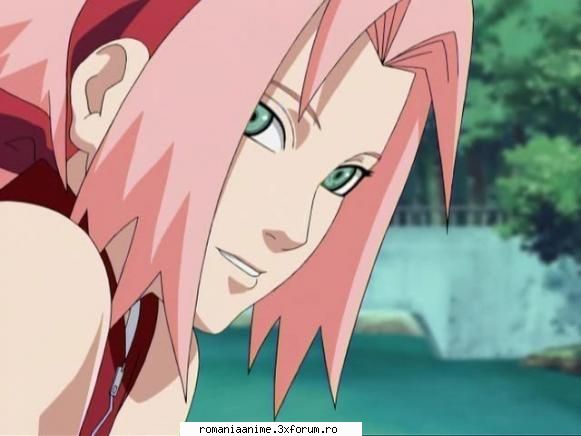 saku sakura haruno