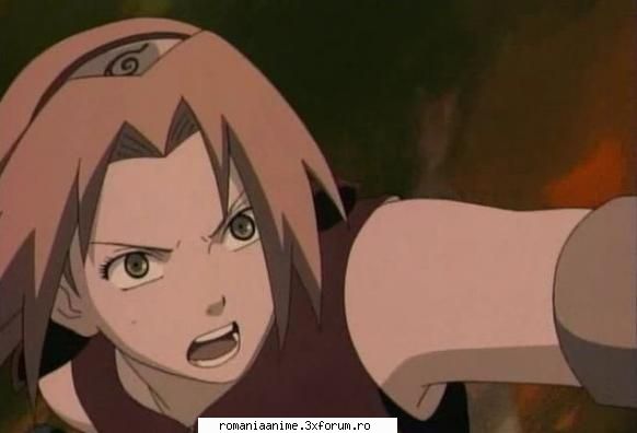 nr 8 sakura haruno