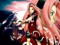 nr 16 sakura haruno