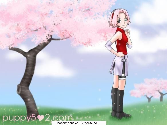 nr 22 sakura haruno