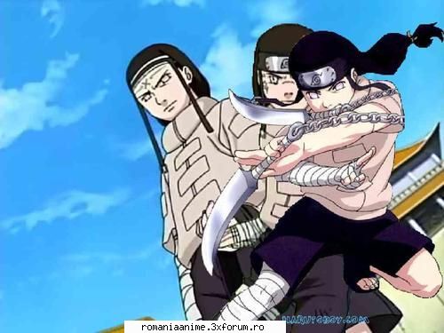 neji sau neji?