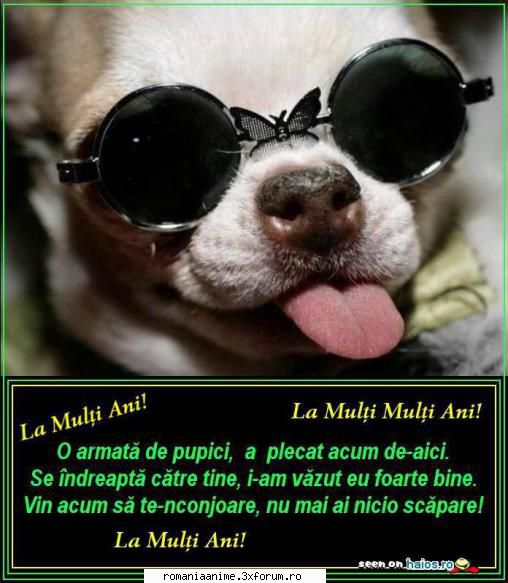 ..o7 yumi si zile de nastere