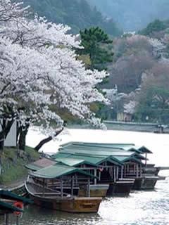 poze japonia - misa amane - ♠ Japonia ♠