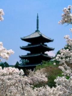 poze japonia - misa amane - ♠ Japonia ♠