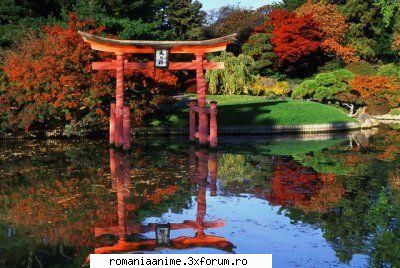 poze japonia - misa amane - ♠ Japonia ♠