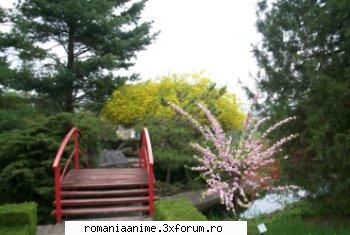 poze japonia - misa amane - ♠ Japonia ♠