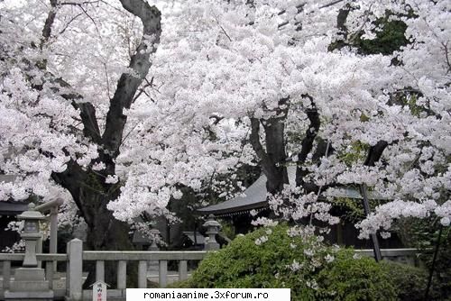 poze japonia - misa amane - ♠ Japonia ♠