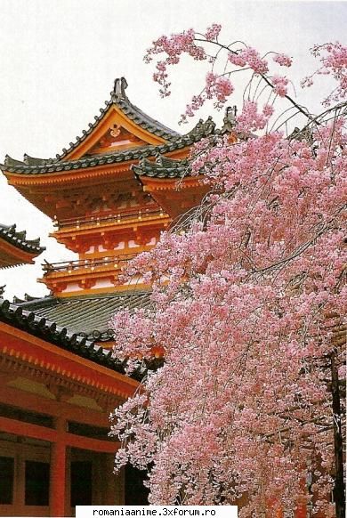 poze japonia - misa amane - ♠ Japonia ♠