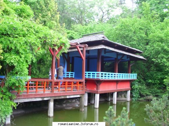 . poze japonia