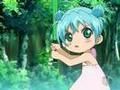 8 runo